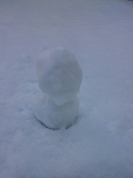 朝起きたら雪景色でした♪ 朝起きたら雪景色でした♪
