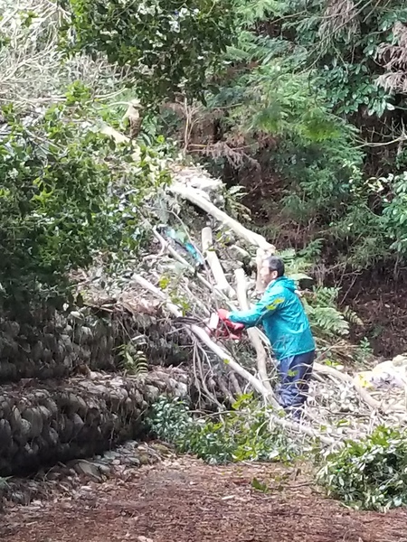 今週末は青山のファーマーズマーケットに行きます 今週末は青山のファーマーズマーケットに行きます