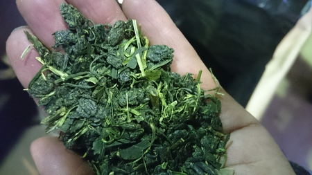 新茶の荒茶が出来ました。 新茶の荒茶が出来ました。