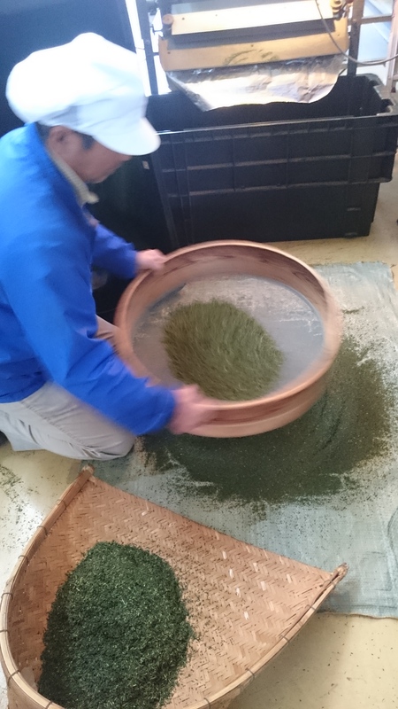今日はお茶を仕上げしています♪ 今日はお茶を仕上げしています♪