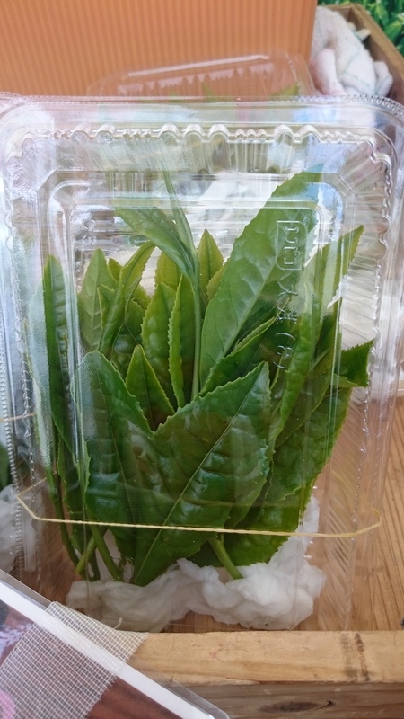 新茶を持って青山のファ―マ―ズマ―ケットに来てます。 新茶を持って青山のファ―マ―ズマ―ケットに来てます。