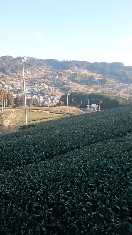 ならしをしています ならしをしています