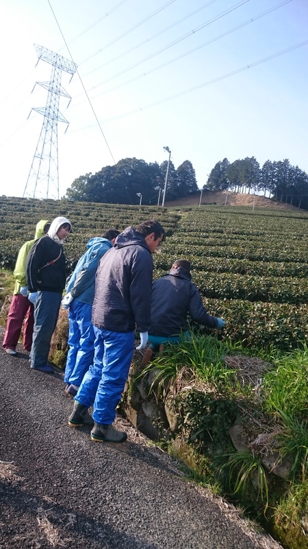 ボランティアさんと草取りをしました。 ボランティアさんと草取りをしました。