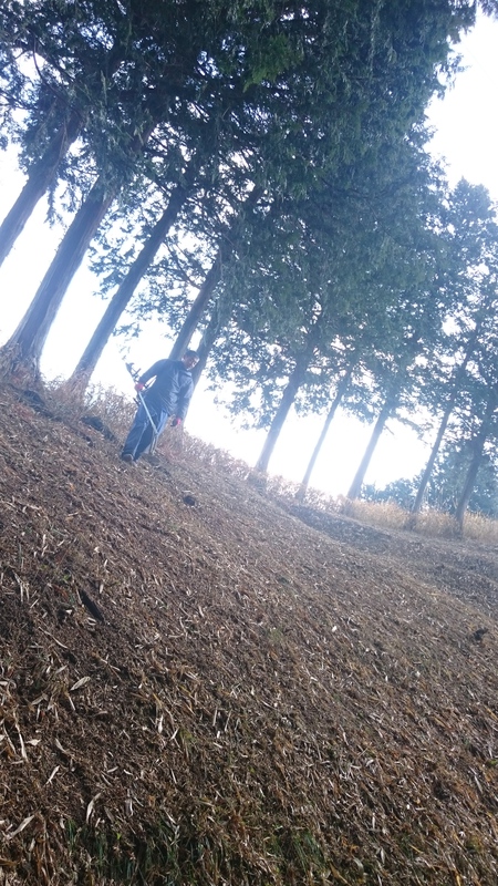 山の草を刈りました。 山の草を刈りました。