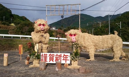 大代(おおじろ)の畑に行きました。 大代(おおじろ)の畑に行きました。