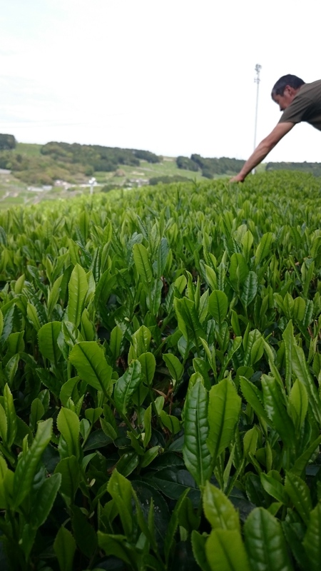 工場の掃除や草刈りなどをしました。 工場の掃除や草刈りなどをしました。