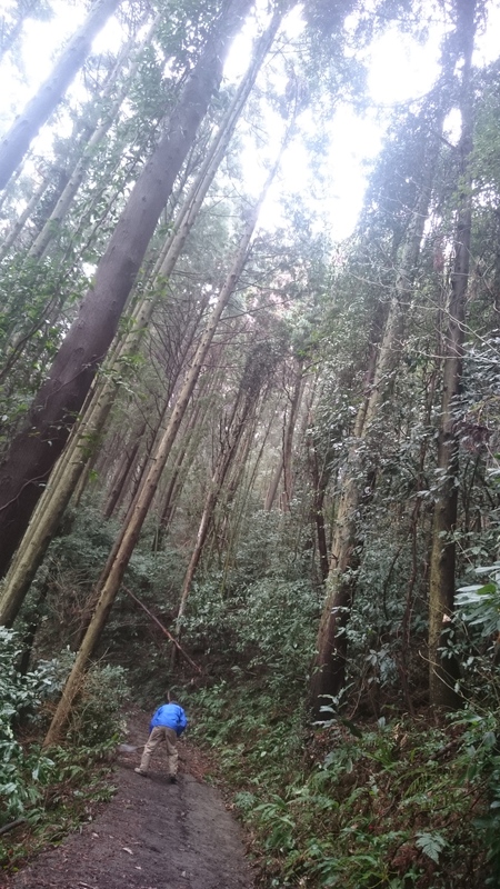 大代の畑に行く道を綺麗にしてます。 大代の畑に行く道を綺麗にしてます。