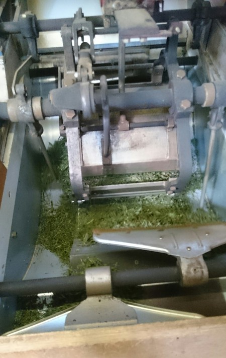 お茶を蒸したり揉んだりしています。 お茶を蒸したり揉んだりしています。