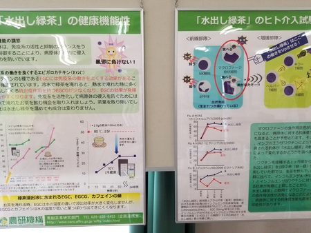 近くの試験場でおこなわれた展示会に行ってきました。 近くの試験場でおこなわれた展示会に行ってきました。