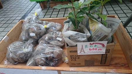 青山のファ―マ―ズマ―ケットにて試飲販売中。 青山のファ―マ―ズマ―ケットにて試飲販売中。