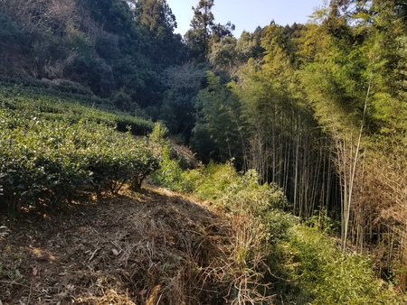 榛原にある畑に行きました。 榛原にある畑に行きました。