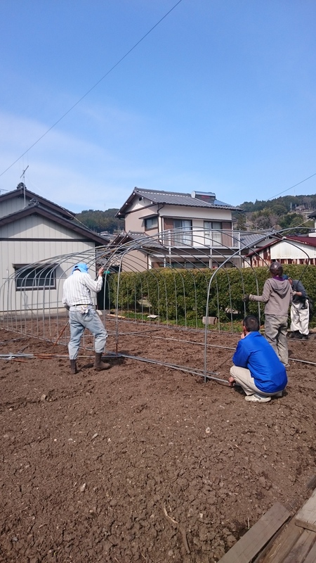 野菜の苗用のハウスを作っていました。 野菜の苗用のハウスを作っていました。