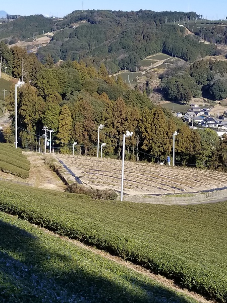 今日から畑仕事をはじめました。 今日から畑仕事をはじめました。