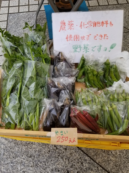 青山のファ―マ―ズマ―ケットにて試飲販売中❗ 青山のファ―マ―ズマ―ケットにて試飲販売中❗