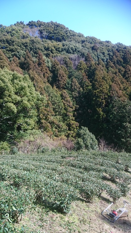 大代(おおじろ)の畑でならしをしました。 大代(おおじろ)の畑でならしをしました。