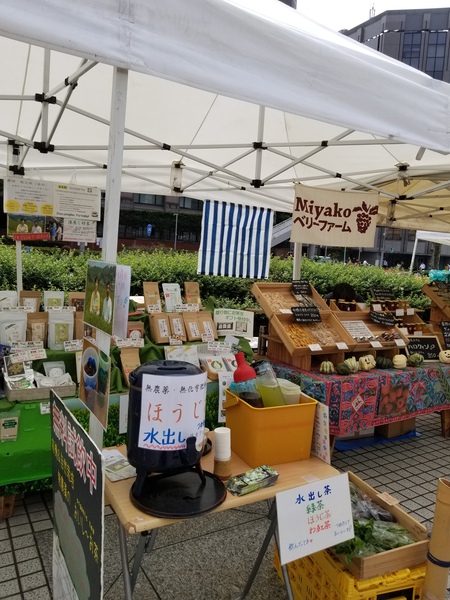 青山のファ―マ―ズマ―ケットにて試飲販売中❗ 青山のファ―マ―ズマ―ケットにて試飲販売中❗