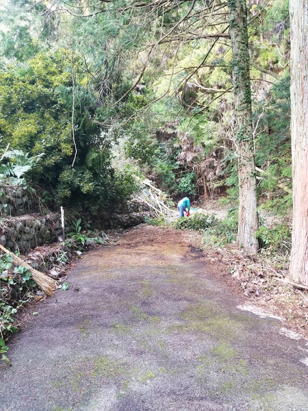 今週末は青山のファーマーズマーケットに行きます 今週末は青山のファーマーズマーケットに行きます