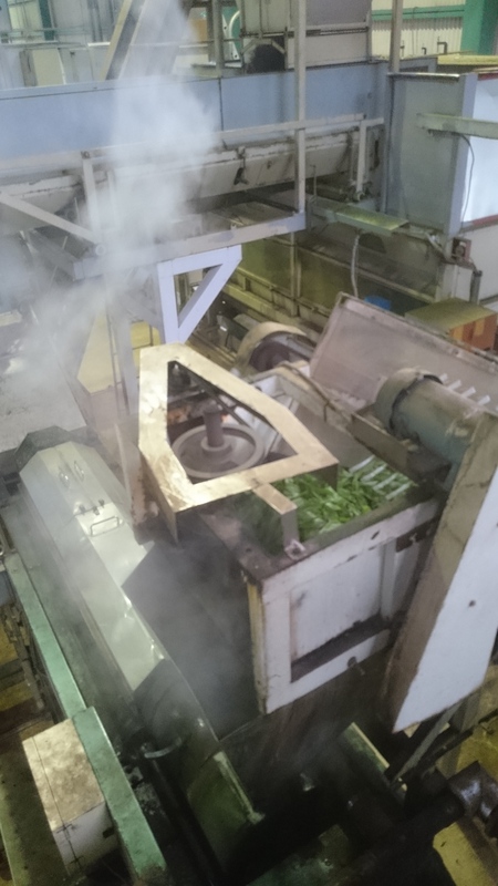 お茶刈りをして、お茶を揉んでいます。 お茶刈りをして、お茶を揉んでいます。