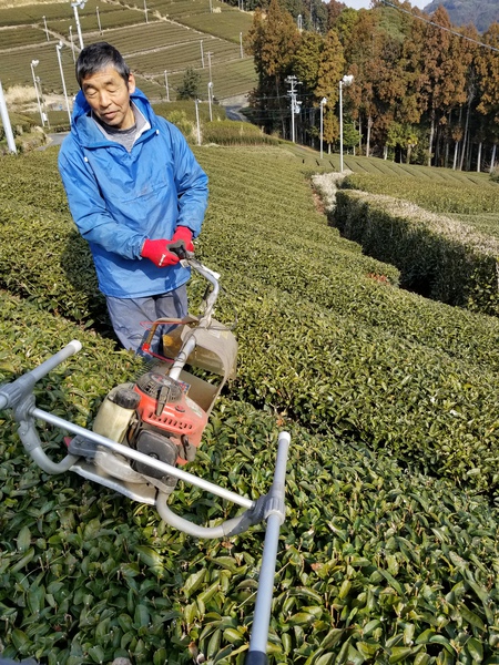 ならしをしました。 ならしをしました。