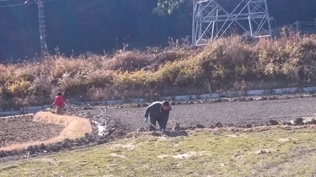 ボランティアさんが来てくれました。 ボランティアさんが来てくれました。