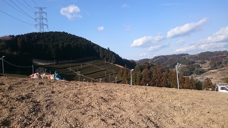 石拾いをしました。 石拾いをしました。