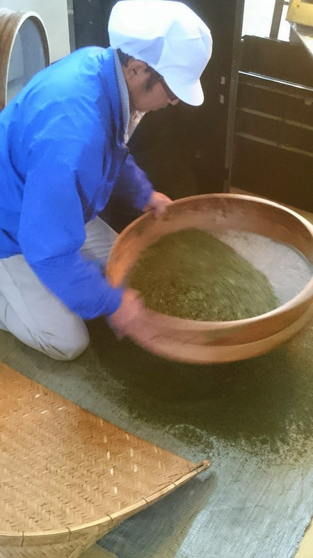 実生のお茶を仕上げしました。 実生のお茶を仕上げしました。