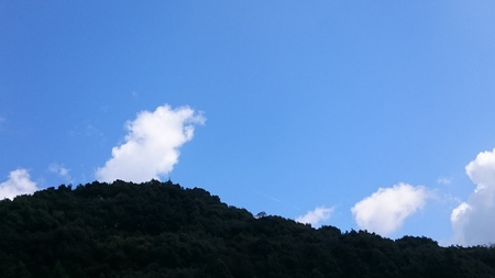 大代(おおじろ)にある実生の畑の草取りをしています。 大代(おおじろ)にある実生の畑の草取りをしています。