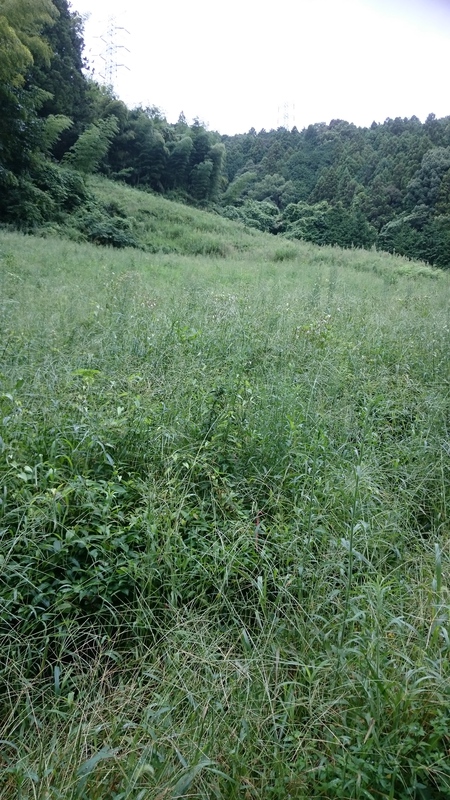 さて、皆さんに問題です。 さて、皆さんに問題です。