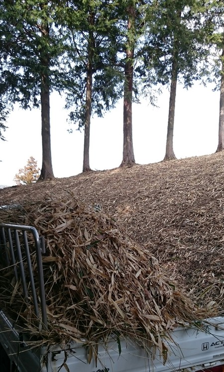 ワラビの出る山の草刈りをしました。 ワラビの出る山の草刈りをしました。