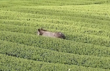 工場のお掃除をしてます。 工場のお掃除をしてます。