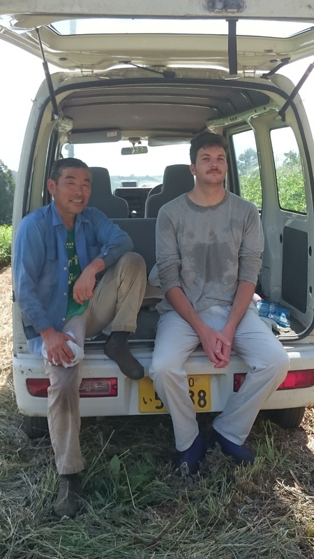 暑い中草取りをしてます。 暑い中草取りをしてます。