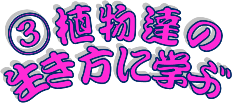 ★植物の生き方に学ぶ③★