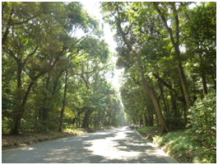 ★環境学習・啓発施設って★