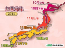 ★紅葉のしくみ②★ ★紅葉のしくみ②★