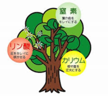 ★造園・施・技・問題⑩《土壌》★ ★造園・施・技・問題⑩《土壌》★