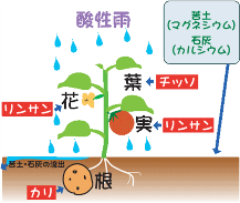★造園・施・技・問題⑩《土壌》★ ★造園・施・技・問題⑩《土壌》★