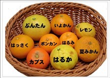 皇居東御苑・二の丸庭園③ 皇居東御苑・二の丸庭園③