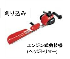 ツツジ、サツキの刈り込み