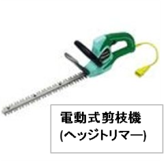 ツツジ、サツキの刈り込み