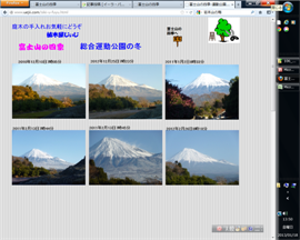 ★HP更新・富士山の四季★