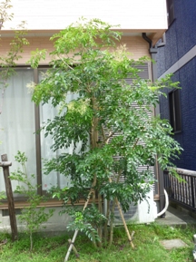 ☆島戸練子のリピート★