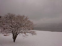 久々の雪景色＊＊