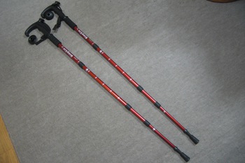 ノルディック　スティックの購入