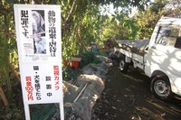 捨て猫
