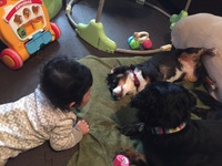かんたパパにお願いして送ってもらました。