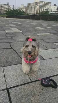 こももちゃん　♪