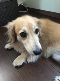 9月19日の記事