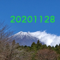 11月28日の記事