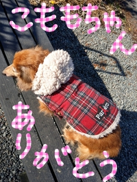 こももちゃん。ありがとうございます。