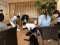 dogイベント1日目スタートです！